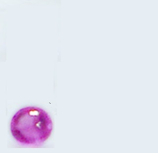 �����������������C���[�W